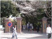 学習院大学