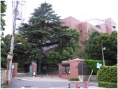 目白大学