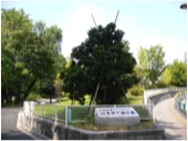 江古田の森公園